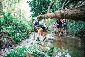 BIB: 
                            <button type="button" onclick="openModal(25478342)" class="btn btn-primary btn-sm float-right btn-popup" data-toggle="modal" data-target=".modal-high-quality">
                        <i class="fas fa-shopping-cart"></i> Add to Cart
                    </button>
                                            <button type="button" onclick="isThisMe(25478342, true)" class="btn btn-success btn-sm float-right btn-popup btn-isme hidden" data-toggle="tooltip" data-placement="bottom" title="นี่คือรูปของคุณใช่ไหม คลิกที่นี่เพื่อเอาเข้าอัลบั้ม">
                        <i class="fas fa-plus"></i> Add to album
                    </button>
                    <button type="button" onclick="isThisMe(25478342, false)" class="btn btn-warning btn-sm float-right btn-popup btn-isnotme hidden">
                        <i class="fas fa-ban"></i> Remove from album
                    </button>